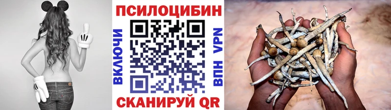Галлюциногенные грибы Magic Shrooms  ОМГ ОМГ сайт  Терек  как найти  